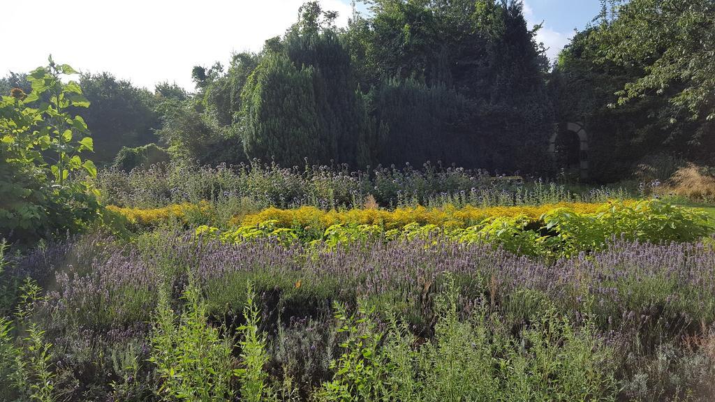 Bloemenboerderij Aperloo住宿加早餐旅馆 外观 照片