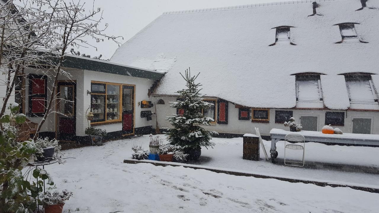 Bloemenboerderij Aperloo住宿加早餐旅馆 外观 照片